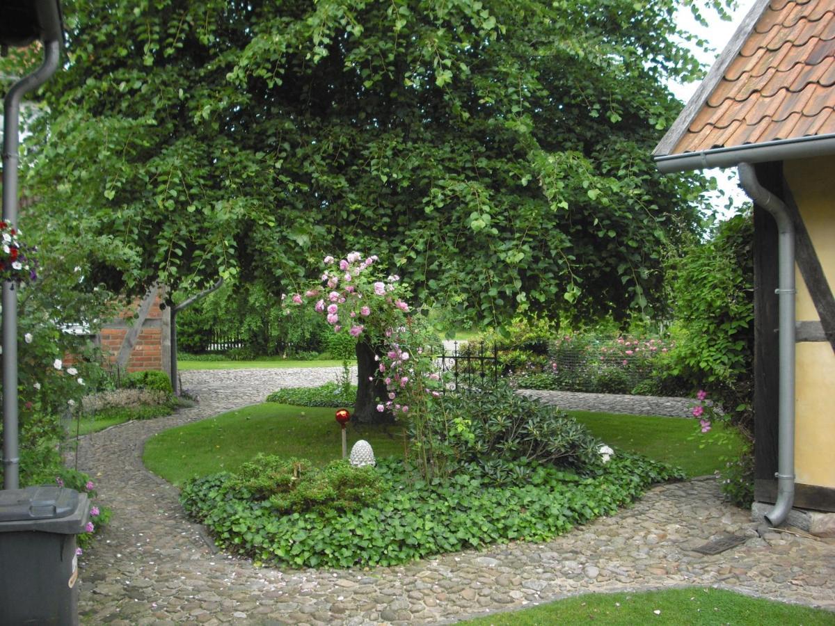 Landhaus Kiesow Apartman Suderburg Kültér fotó