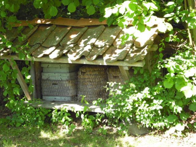 Landhaus Kiesow Suderburg Kültér fotó